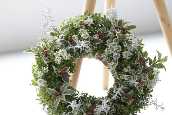 アリッサムのクリスマスリース